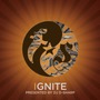Flipsyde album Ignite Mixtape