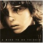 Zach Raizman album A Mind To Be Thinkin