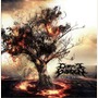 Burnt By The Light
