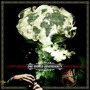 Nappy Riddem album One World Sovereignty
