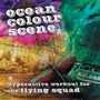 Ocean Colour Scene album A Hyperactive Workout For The Flying Squad