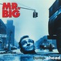 Mr. Big album Bump Ahead (Remastered)