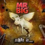 Mr. Big album What If...