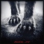 Shearwater album Animal Joy