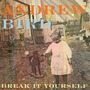 Andrew Bird album Break It Yourself