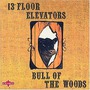 13th Floor Elevators album Bull Of The Woods (Remastered)