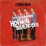 Chris Rea album The Return Of The Fabulous Hofner Blue Notes