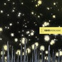 Isis album Wavering Radiant (japanese Edition)