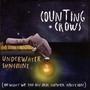 Counting Crows album Underwater Sunshine (Or What We Did On Our Summer Vacation)