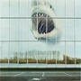 Black Mountain album Wilderness Heart