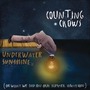 Counting Crows album Underwater Sunshine (Or What We Did On Our Summer Vacation) (Limited Edition)