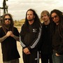 Korn