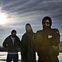 Ulver