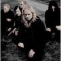 Katatonia