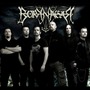 Borknagar