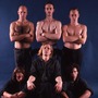 Swans