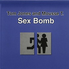 Sex Bomb mp3 Remix by Tom Jones