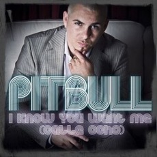 I Know You Want Me (Calle Ocho) mp3 Single by Pitbull