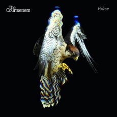 Falcon mp3 Album by The Courteeners