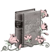 May mp3 Album by Bishop Allen
