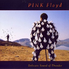Delicate Sound Of Thunder mp3 Live by Pink Floyd