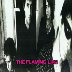 Fight Test mp3 Album by The Flaming Lips