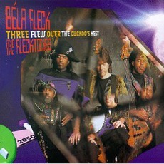 Three Flew Over the Cuckoo's Nest mp3 Album by Béla Fleck And The Flecktones