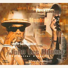 The Guitar Player mp3 Album by John Lee Hooker