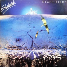 Night Birds mp3 Album by Shakatak