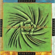 Synergy mp3 Album by Dave Weckl Band