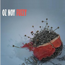 Fuzzy mp3 Album by Oz Noy