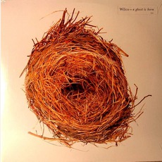 A Ghost Is Born mp3 Album by Wilco