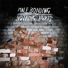 Nothing Hurts mp3 Album by Male Bonding