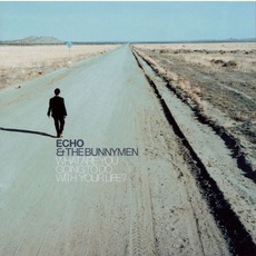 What Are You Going To Do With Your Life? mp3 Album by Echo & The Bunnymen