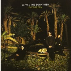 Evergreen mp3 Album by Echo & The Bunnymen