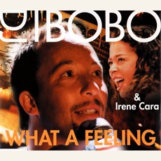 What A Feeling mp3 Single by Dj Bobo & Irene Cara