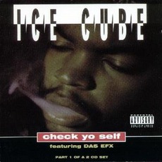 Check Yo Self mp3 Single by Ice Cube
