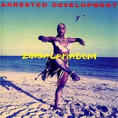Zingalamaduni mp3 Album by Arrested Development