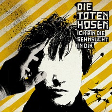 Ich Bin Die Sehnsucht In Dir mp3 Single by Die Toten Hosen