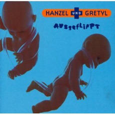 Ausgeflippt mp3 Album by Hanzel Und Gretyl