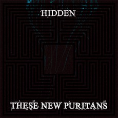 Hidden mp3 Album by These New Puritans