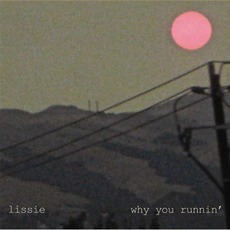 Why You Runnin' mp3 Album by Lissie
