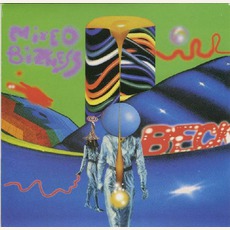 Mixed Bizness mp3 Single by Beck