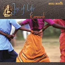 Joy Of Life mp3 Album by Karunesh