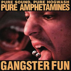 Pure Sound, Pure Hogwash, Pure Amphetamines mp3 Album by Gangster Fun