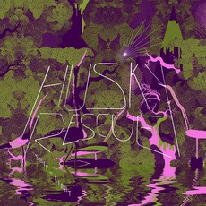 Ship Of Light mp3 Album by Husky Rescue