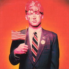 Filth Pig mp3 Album by Ministry