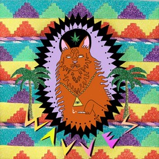 King Of The Beach mp3 Album by Wavves