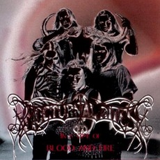 In A Time Of Blood And Fire mp3 Album by Nocturnal Rites