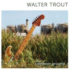Common Ground mp3 Album by Walter Trout